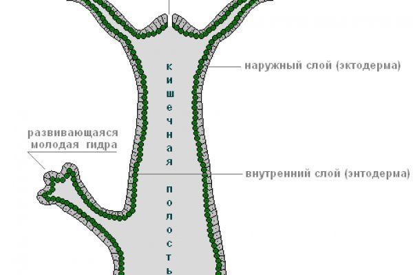 Купить траву гашиш